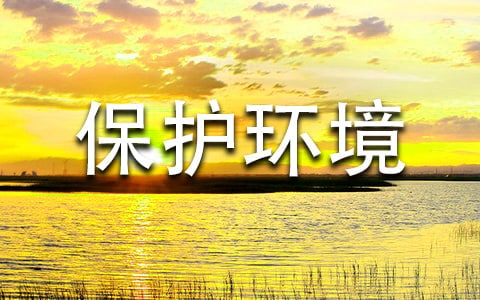(熱門(mén))保護(hù)環(huán)境倡議書(shū)15篇