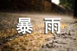 暴雨災(zāi)害應(yīng)急預(yù)案