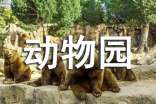大連動(dòng)物園導(dǎo)游詞