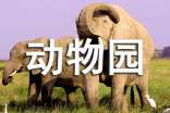 (精品)動物園作文7篇