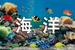 試析海洋生態(tài)價值的特點(diǎn)及補(bǔ)償