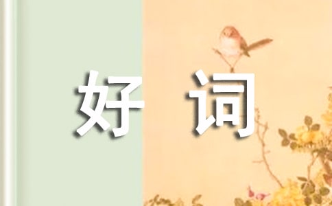 繁星春水好詞好句摘抄賞析