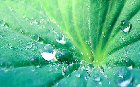 荷葉邊連衣裙怎么搭配