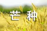 有關(guān)芒種的諺語