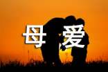 【實(shí)用】母愛(ài)作文合集九篇