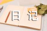 精選日記優(yōu)秀作文300字匯總6篇