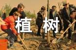 有關(guān)環(huán)保植樹的標(biāo)語7篇
