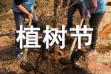 幼兒植樹節(jié)活動策劃方案