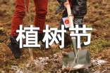 小學植樹節(jié)活動策劃方案(12篇)