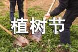 手抄報植樹節(jié)全英文