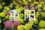 2022長(zhǎng)輩對(duì)晚輩的重陽(yáng)寄語(yǔ)(精選110句)