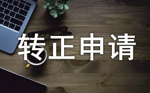 2017工作轉(zhuǎn)正申請(qǐng)自我鑒定