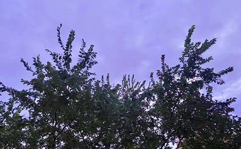 簡單大氣早安心語